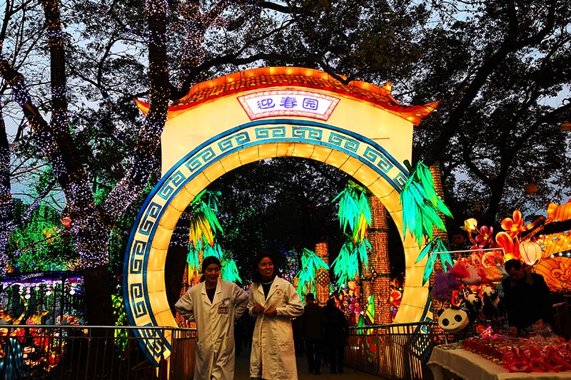 彩灯制作，自贡彩灯