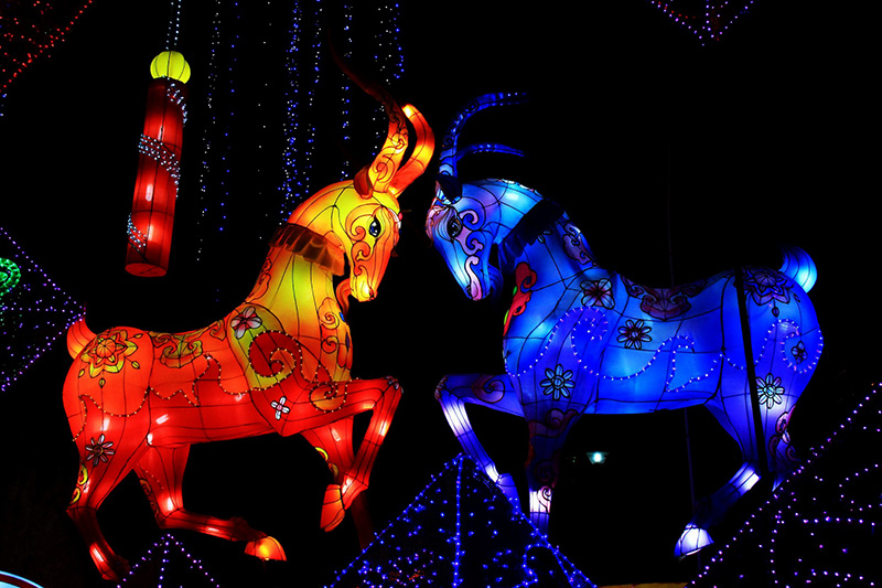 淄博花灯，花灯，