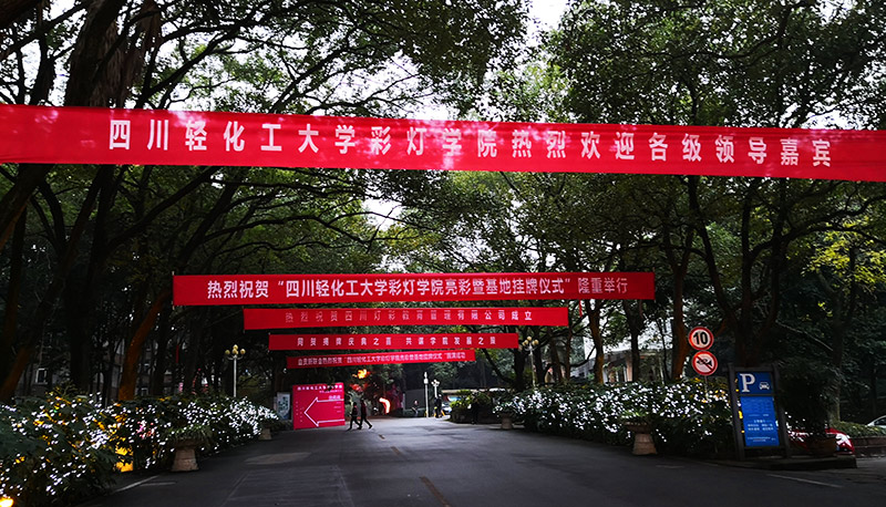 彩灯学院,自贡彩灯,