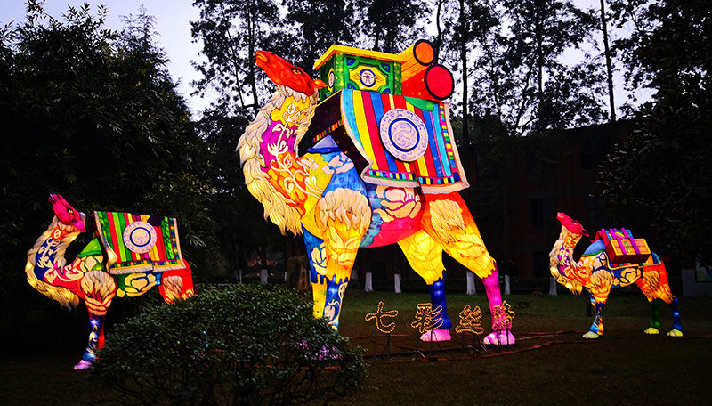 彩灯学院,自贡彩灯,