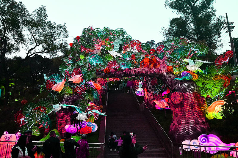 自贡灯会，自贡彩灯，